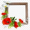 Remembrance Frames
