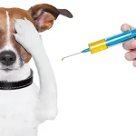 Dog Vaccinations